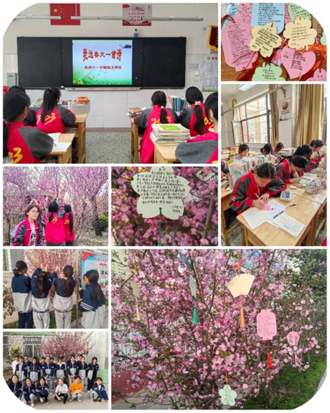图片7_副本.png