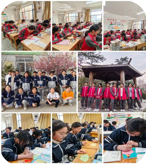 图片8_副本.png